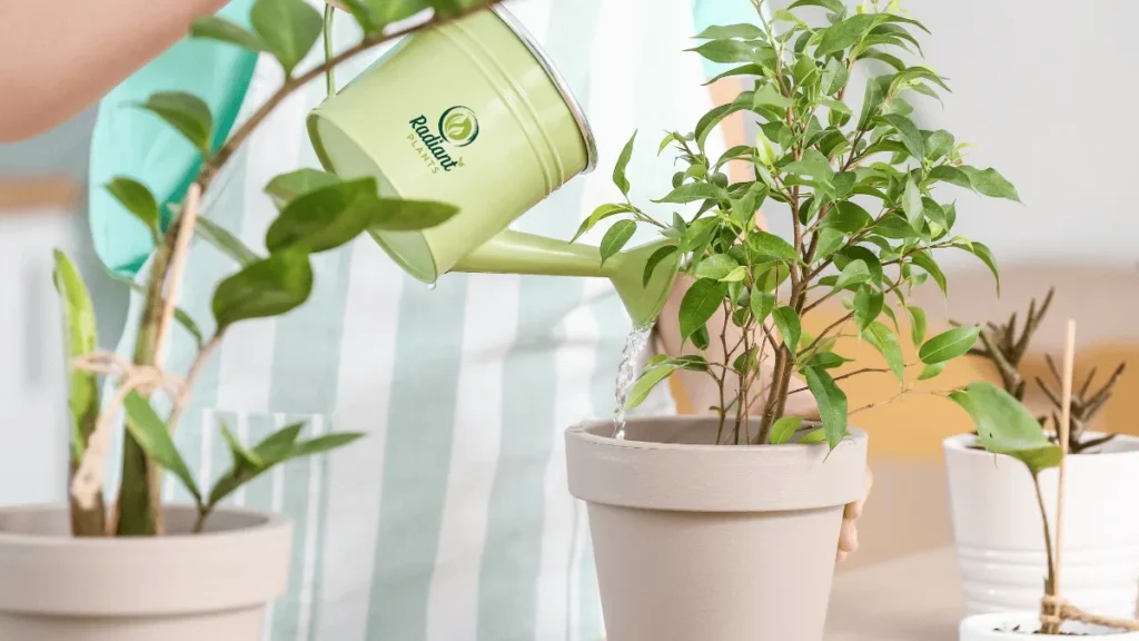 White Spots on Outdoor Plant Foliage Outdoor plant foliage showing scattered white spots, likely caused by environmental stress or pest activity.