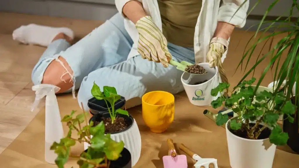 Soil Pots and Drainage Root Health Basics