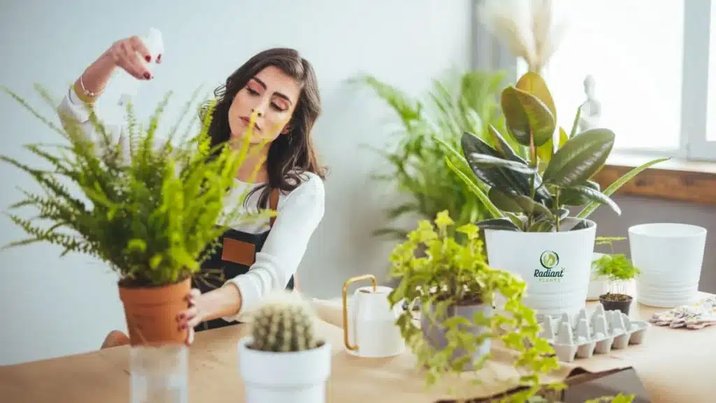 What Indoor Plant Care Really Means