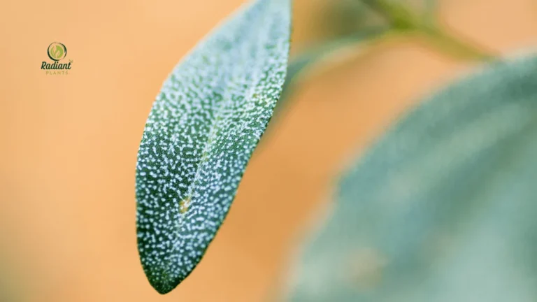 White Spots on Leaves? 5 Quick Fixes for Healthy Plants
