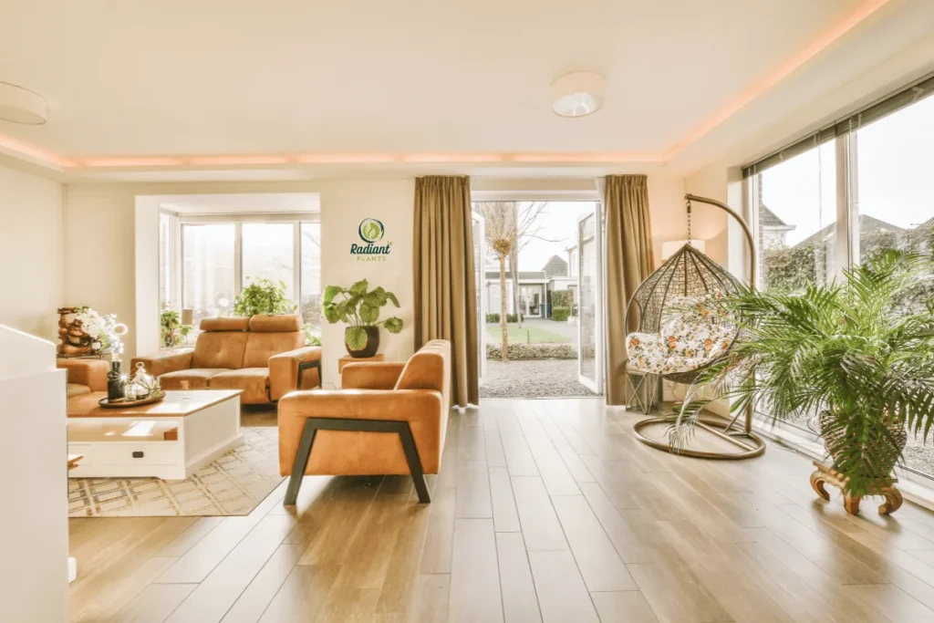 Complete Guide to Best Plants for Every Room in Your Home