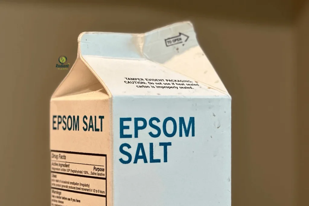 Best Fertilizer for Sick Plants Recovery Process