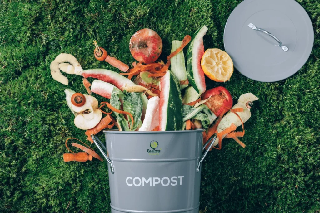 Choosing Best Fertilizer for Sick Plants Guide