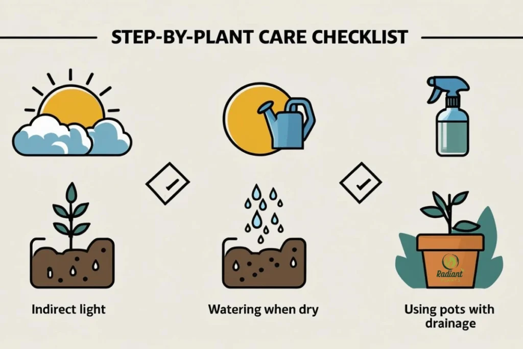 Beginner care routine checklist for low light indoor plant maintenance