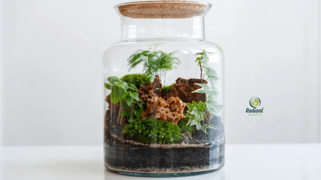 Glass closed terrarium with thriving terrarium plants like moss and ferns