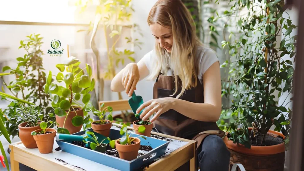 NASA study chart highlighting the best indoor plants for air purification and toxin removal