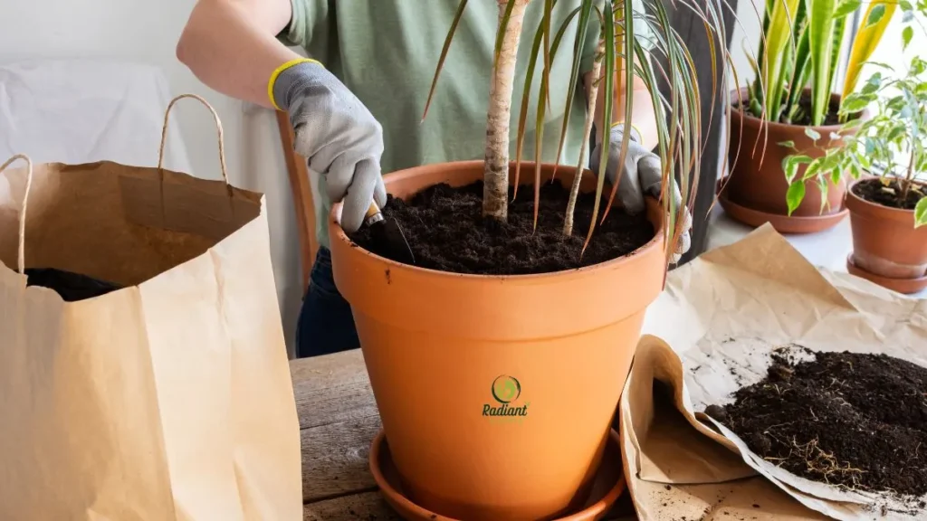 Indoor Jungle with Oversized Green Plants
