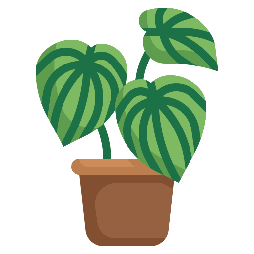 Styling & Decor radiants plants