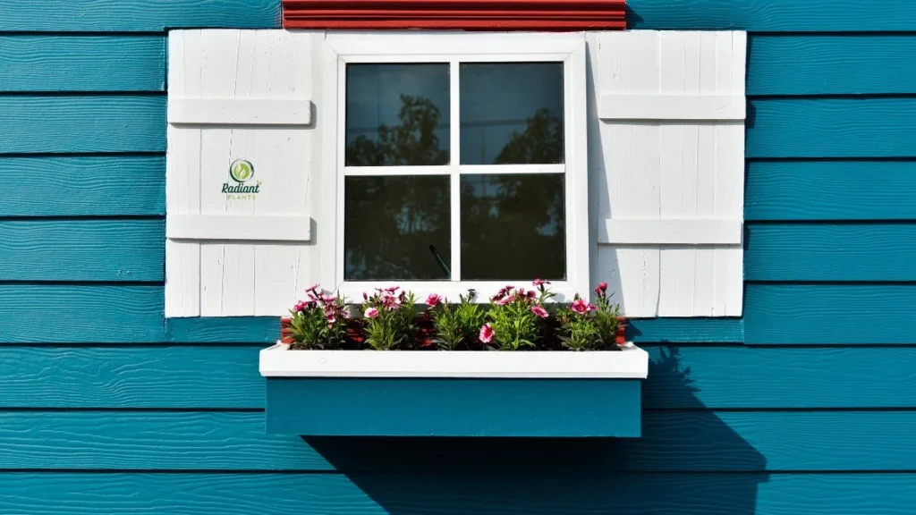 Indoor and Outdoor Planter Boxes for Windows