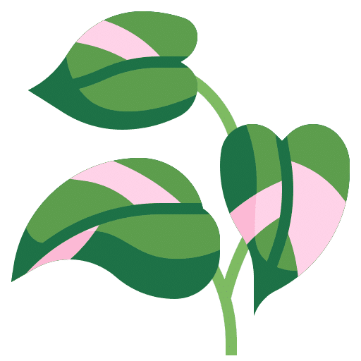 Best Indoor Plants