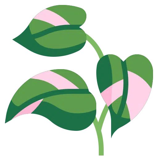 Best Indoor Plants