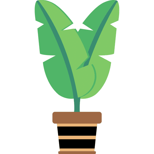 Indoor Plant Care Guide