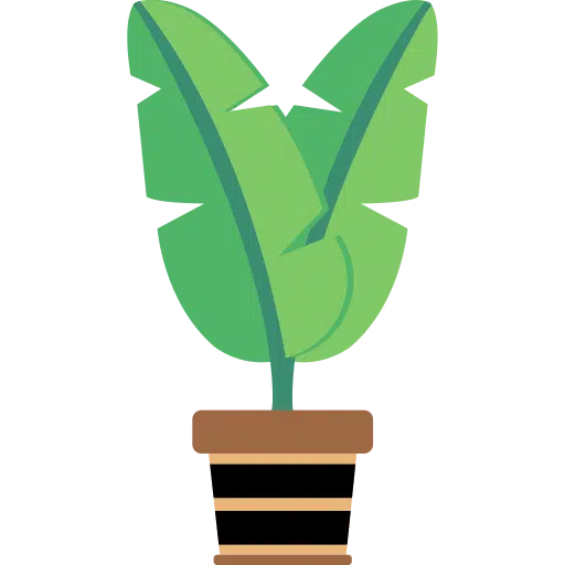 Indoor Plant Care Guide